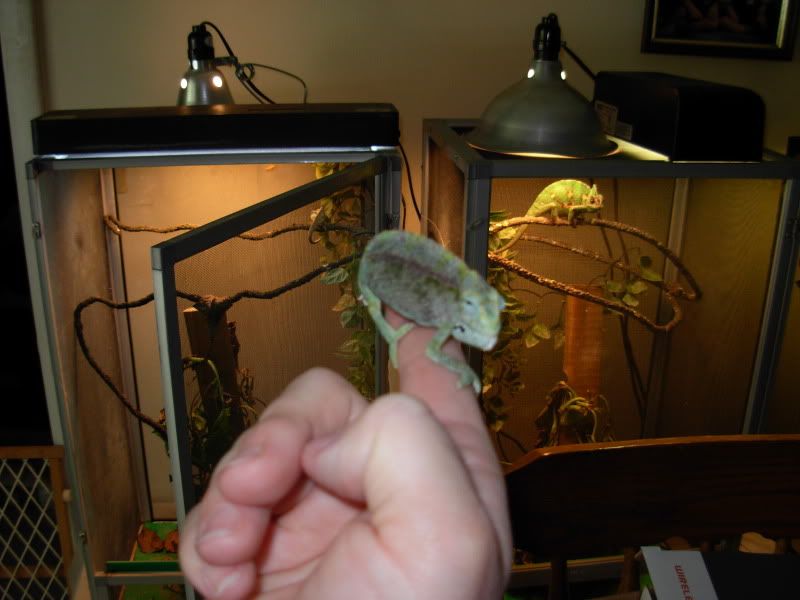 DSCN8516.jpg