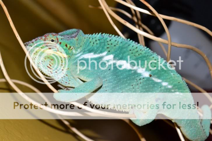 newpics006.jpg