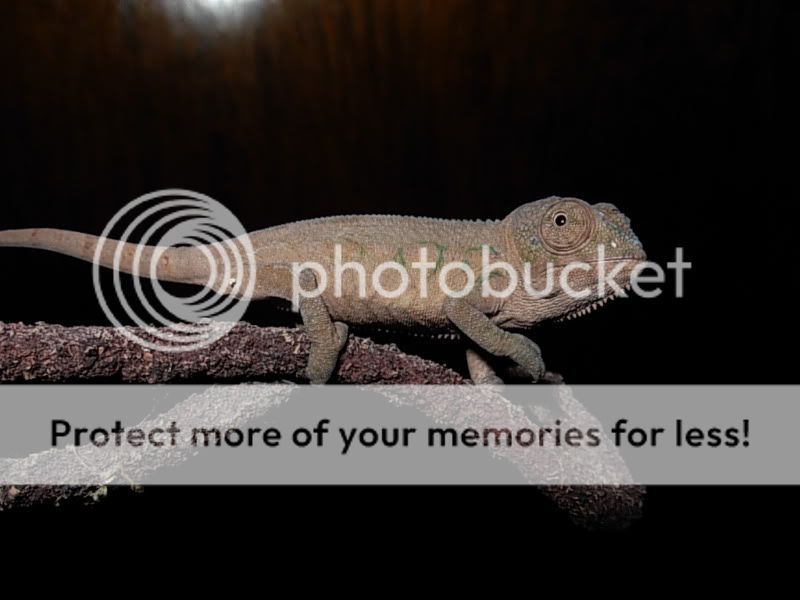 DSCN5230.jpg