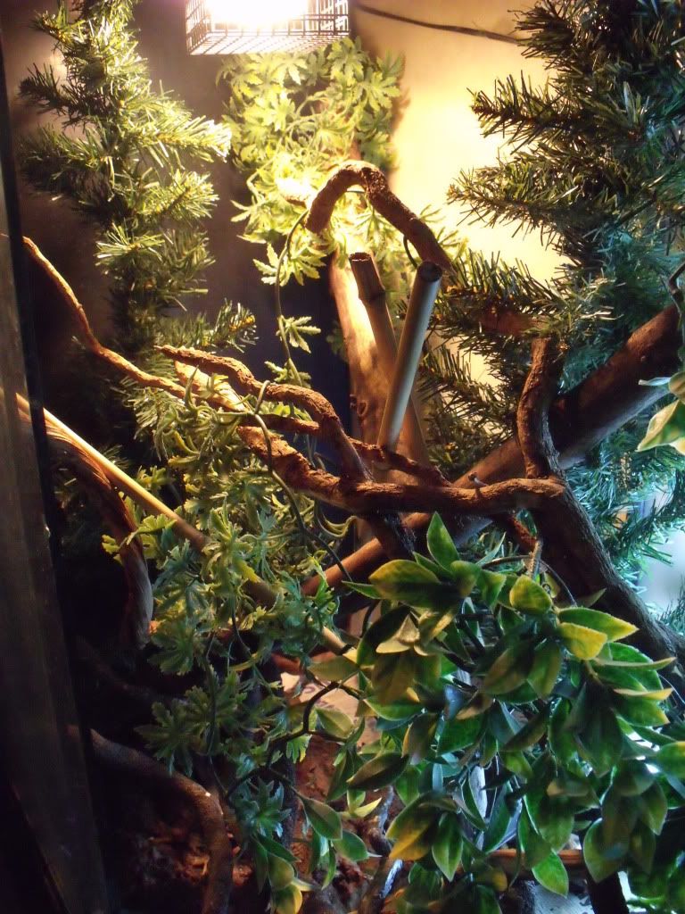 DSCF4061.jpg