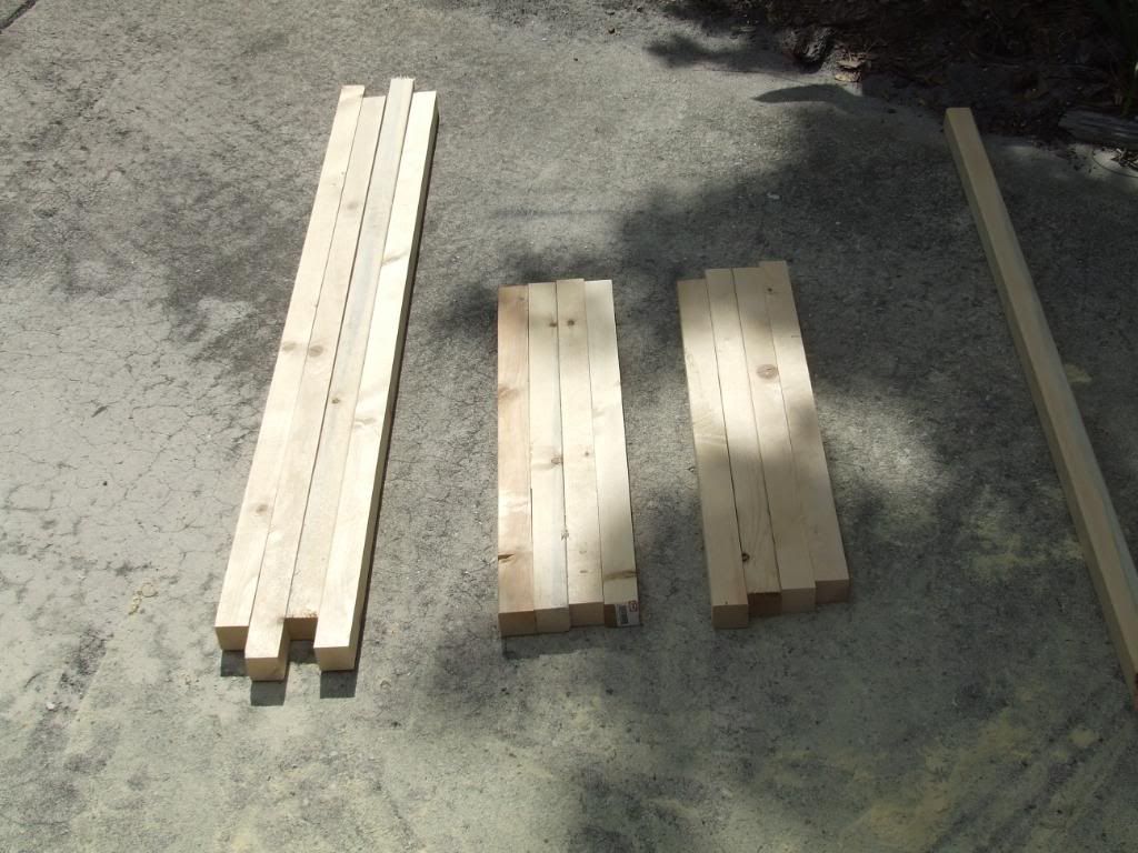 cagebuild004.jpg