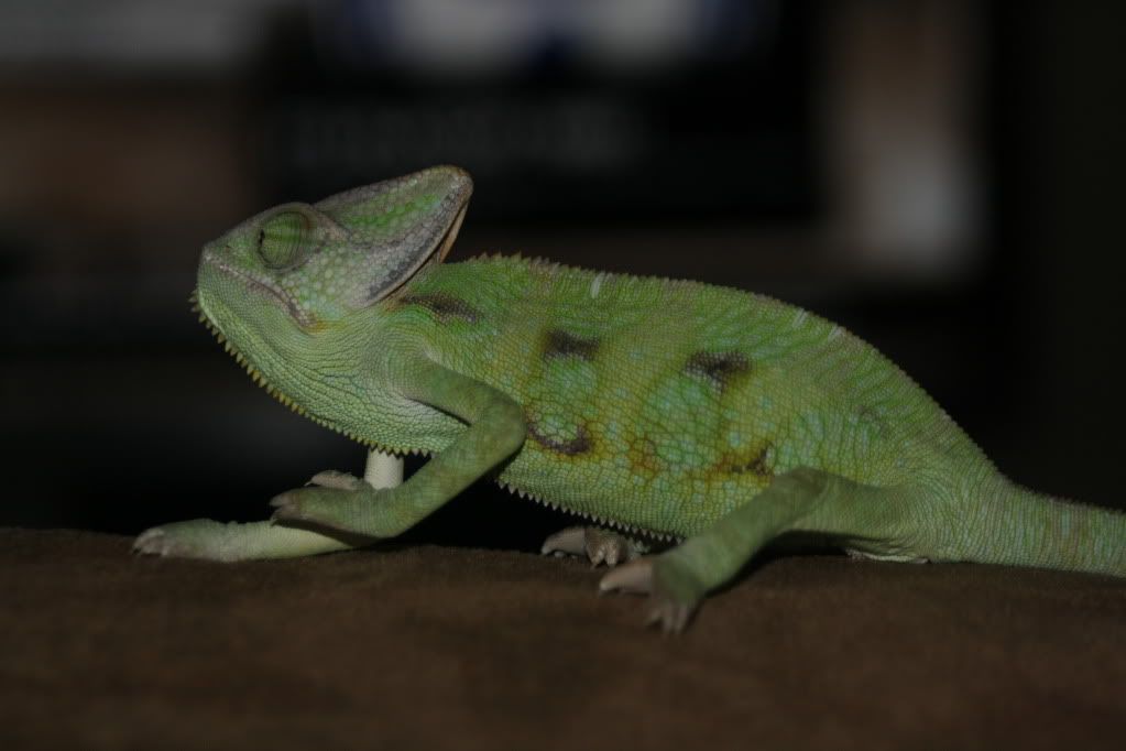 20110802_83.jpg