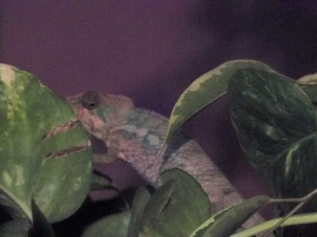 100_0107.jpg