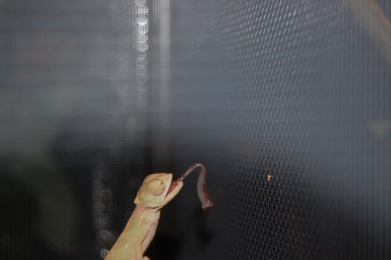 DSC_0416.jpg