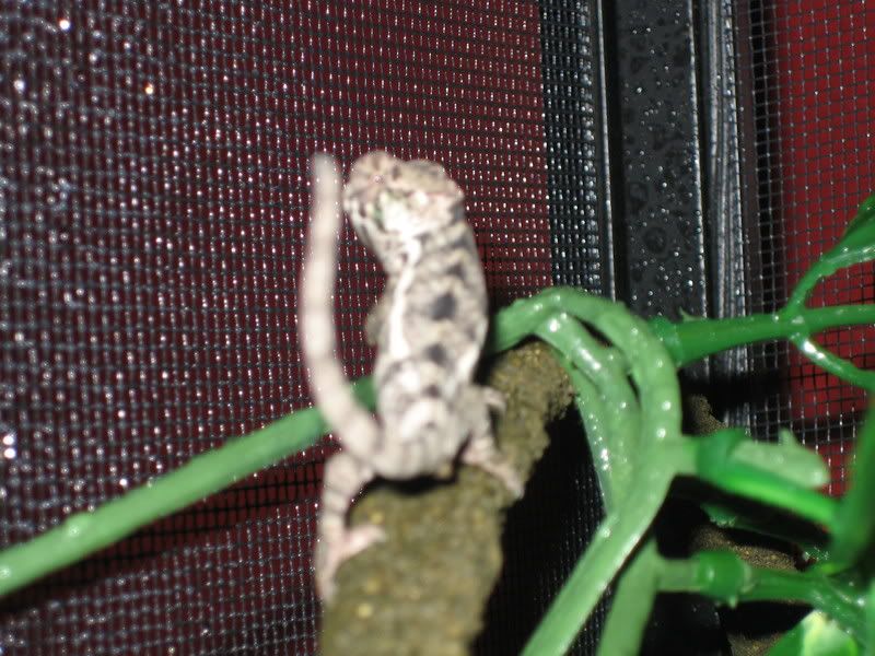 IMG_02741.jpg