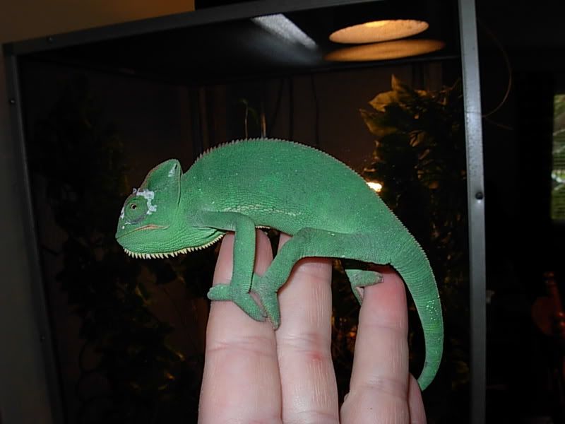 DSCN2917.jpg