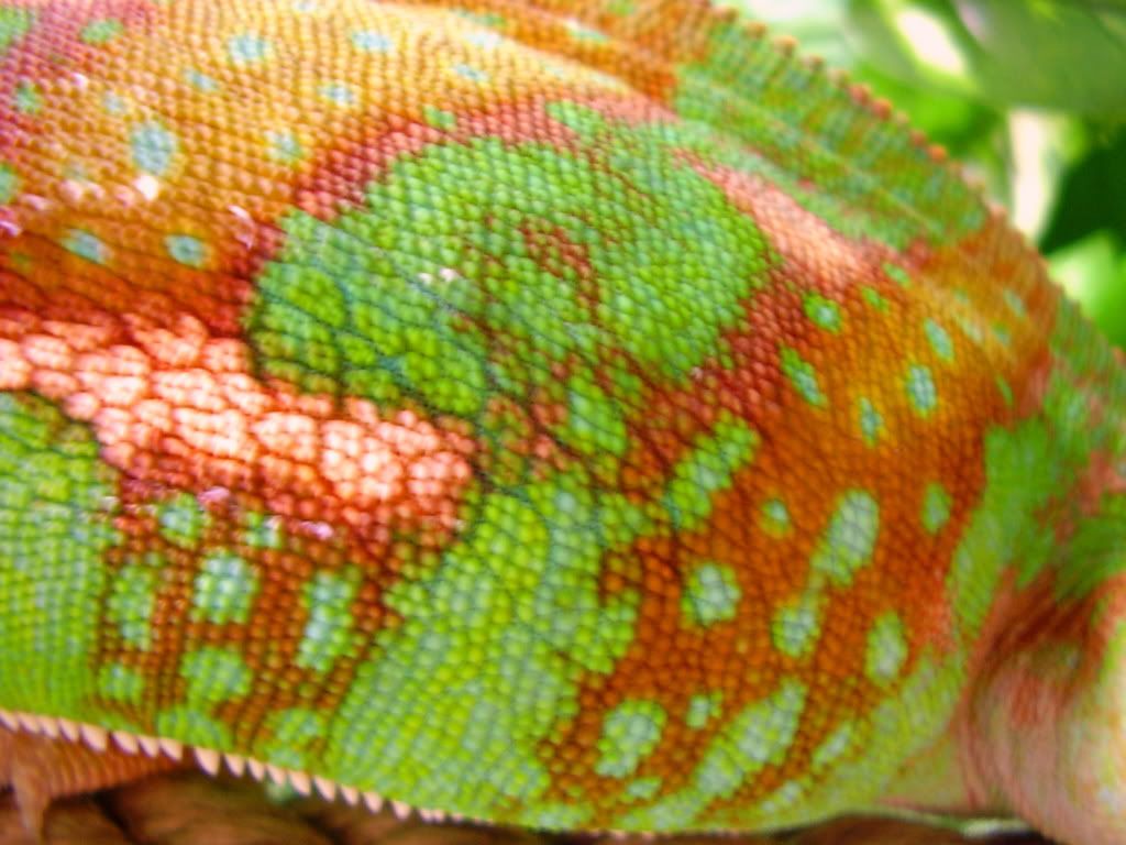 18092010_colours.jpg