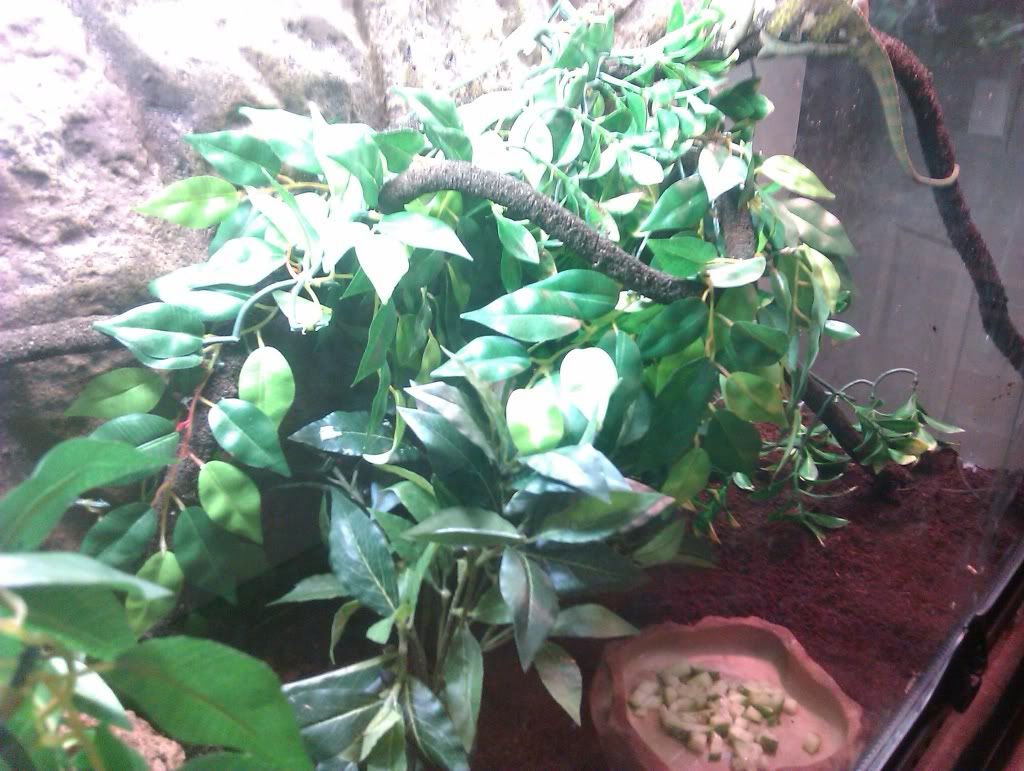 IMAG0062.jpg