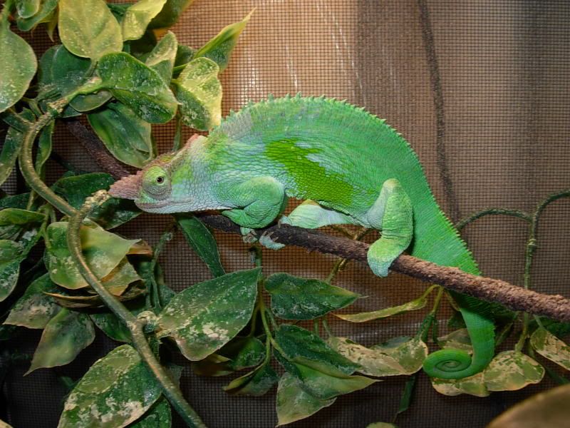 DSCN5727.jpg