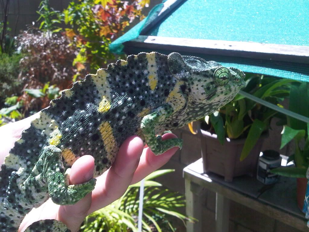 IMG-20110912-00276.jpg