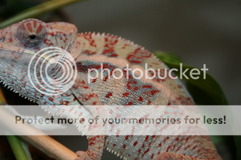 sunpics016.jpg