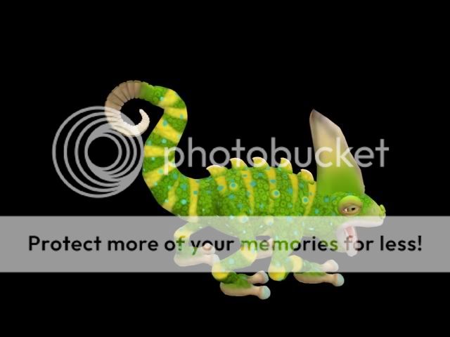 CRE_Calyptratius-07d760d1_sml.jpg