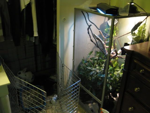 IMG_1885.jpg