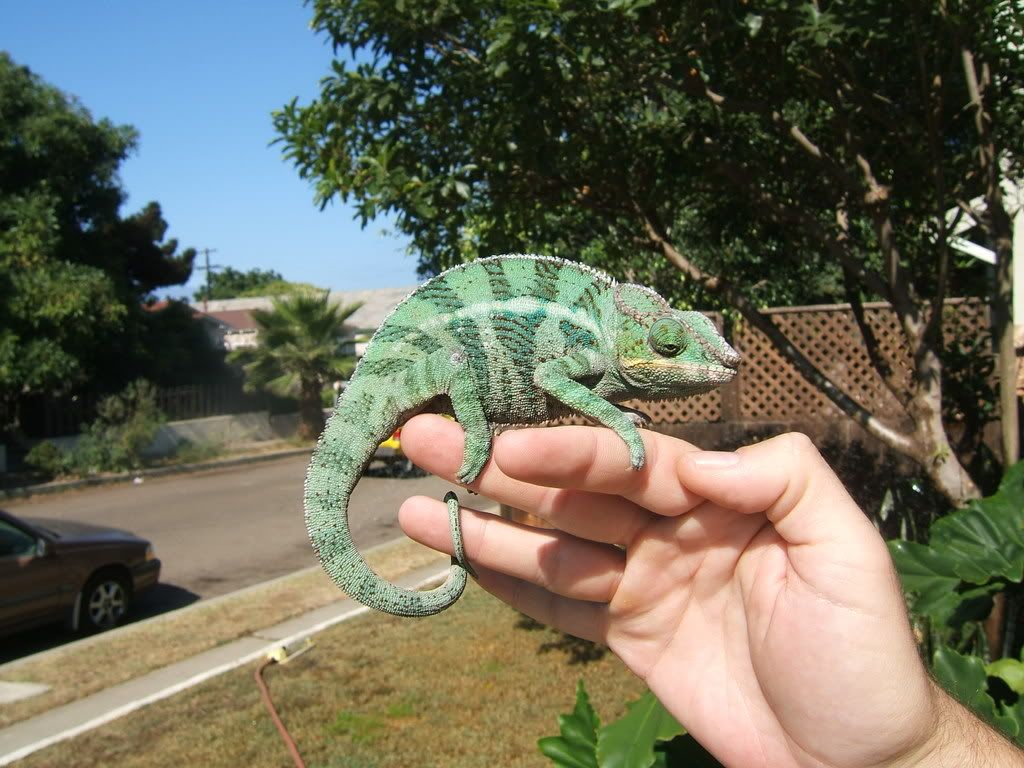 DSCF7590.jpg