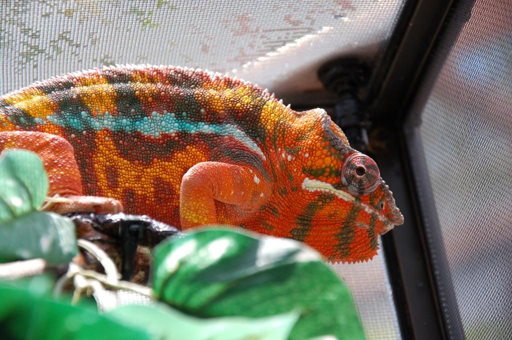 DSC_0050.jpg