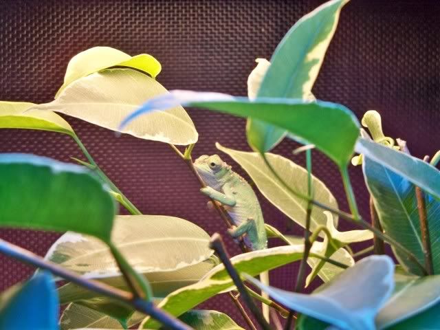 100_0494.jpg
