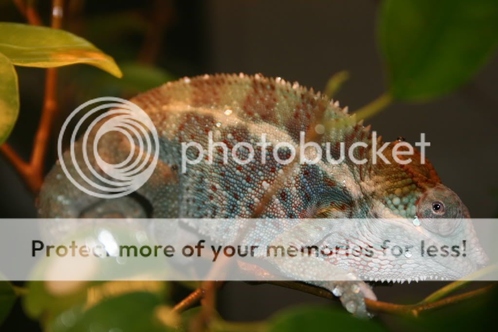 outsideppics8-08-09030.jpg