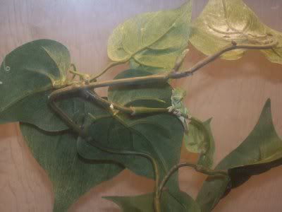 100_1576.jpg