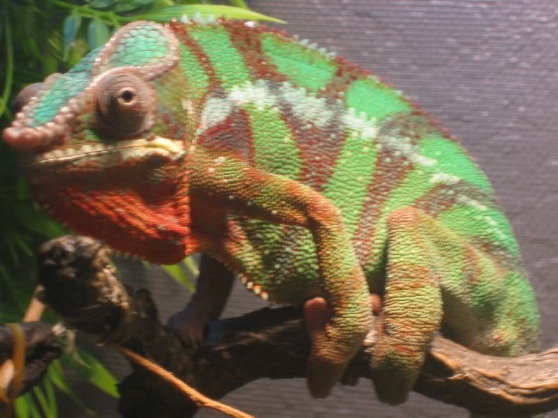 Picture018.jpg
