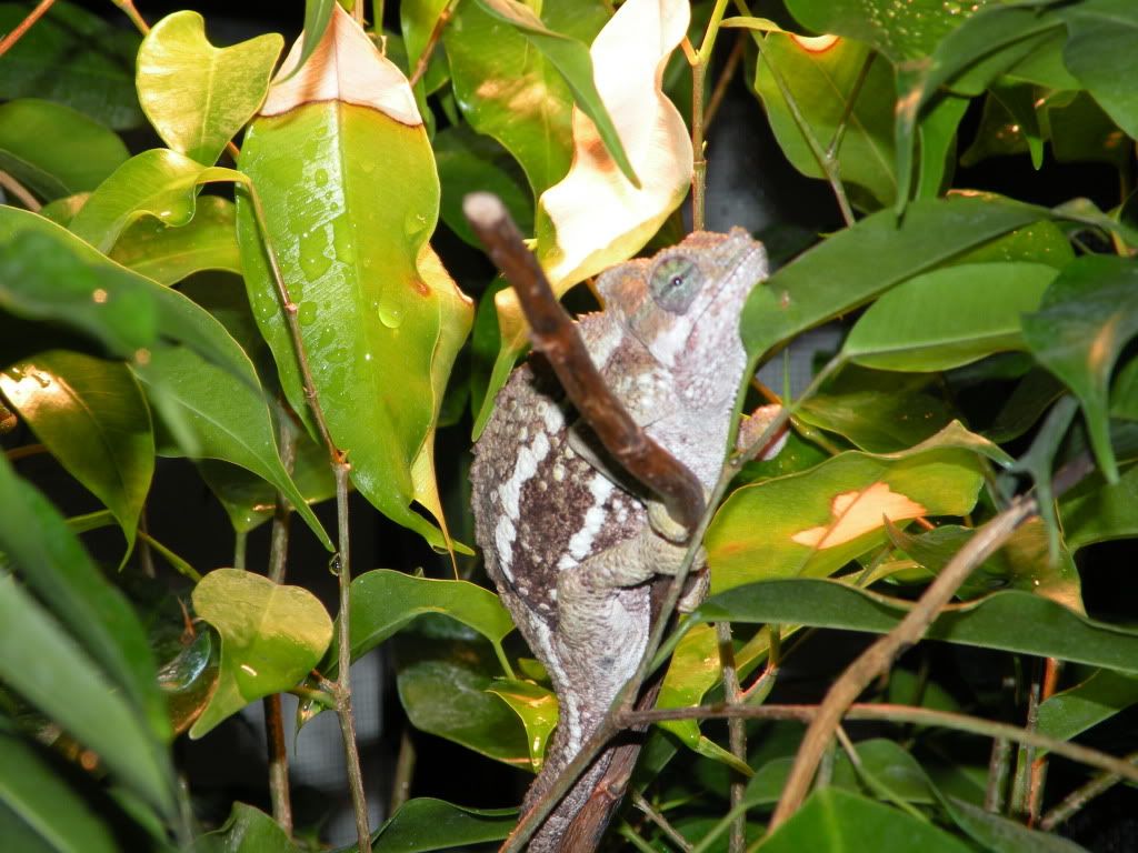 DSCN7032.jpg