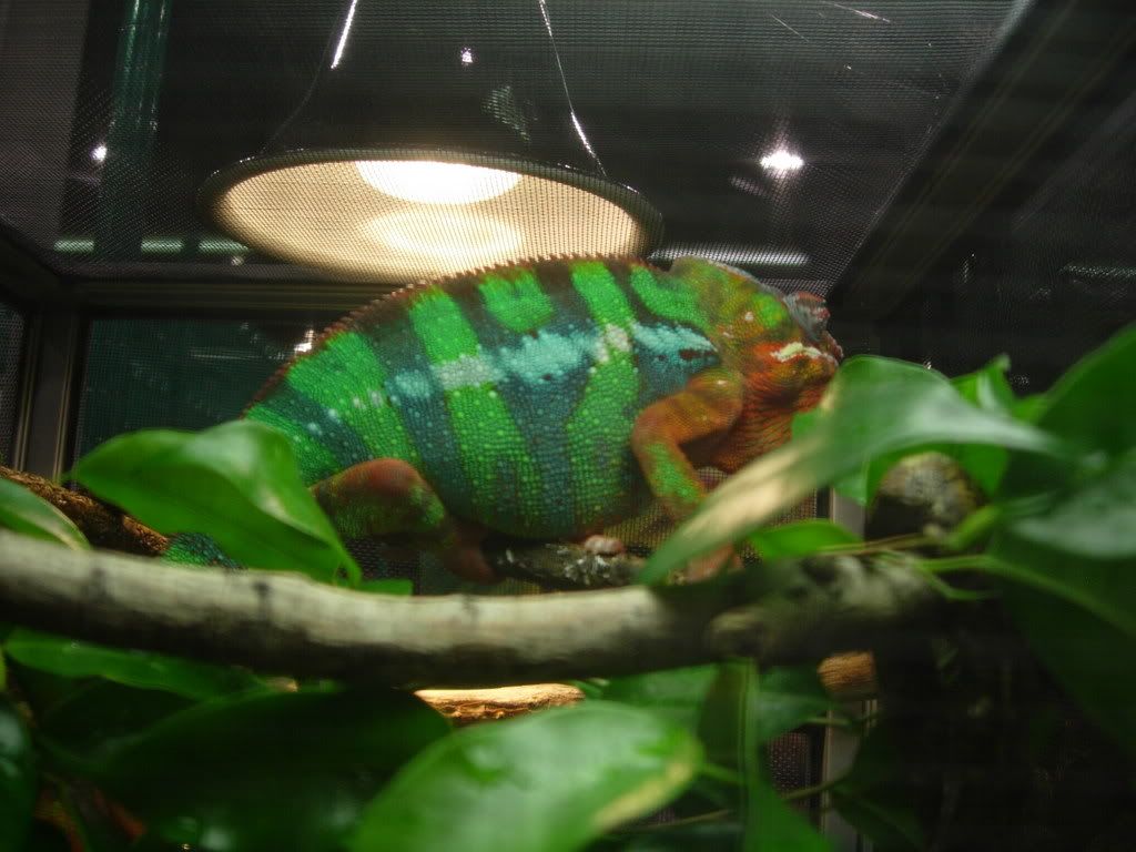 DSCN1370.jpg