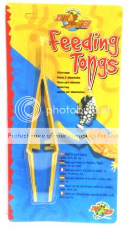 zoo_med_plastic_feeding_tongs_zps9ae419a8.jpg