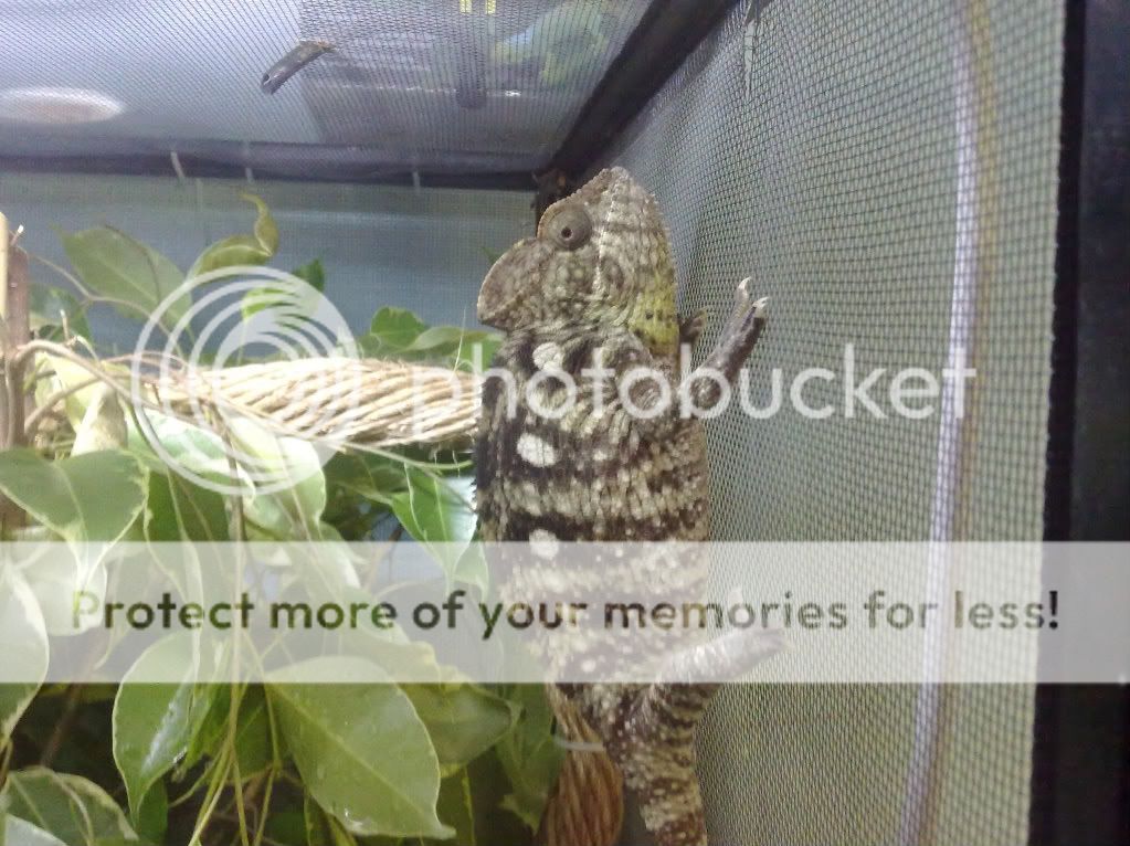 25072010130.jpg
