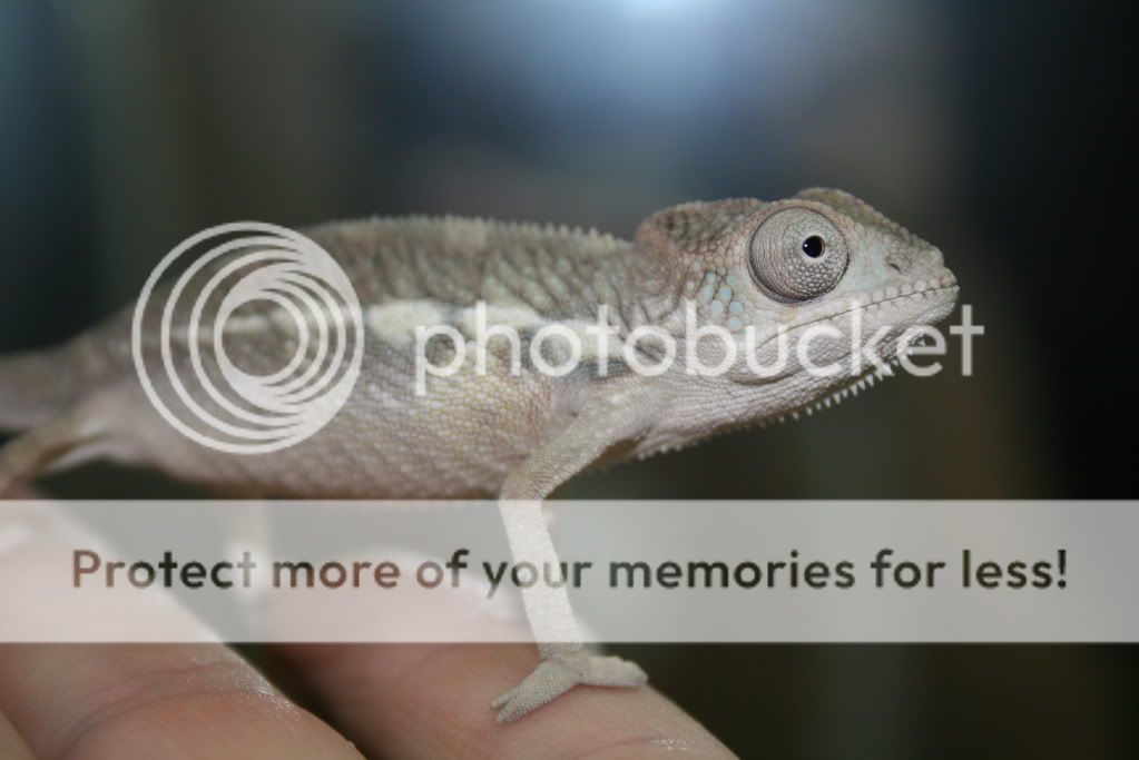 eospics9-19-09004-9.jpg
