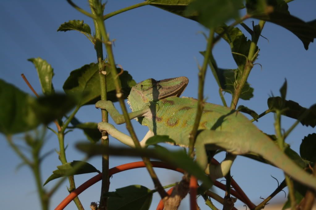 20110804_39.jpg