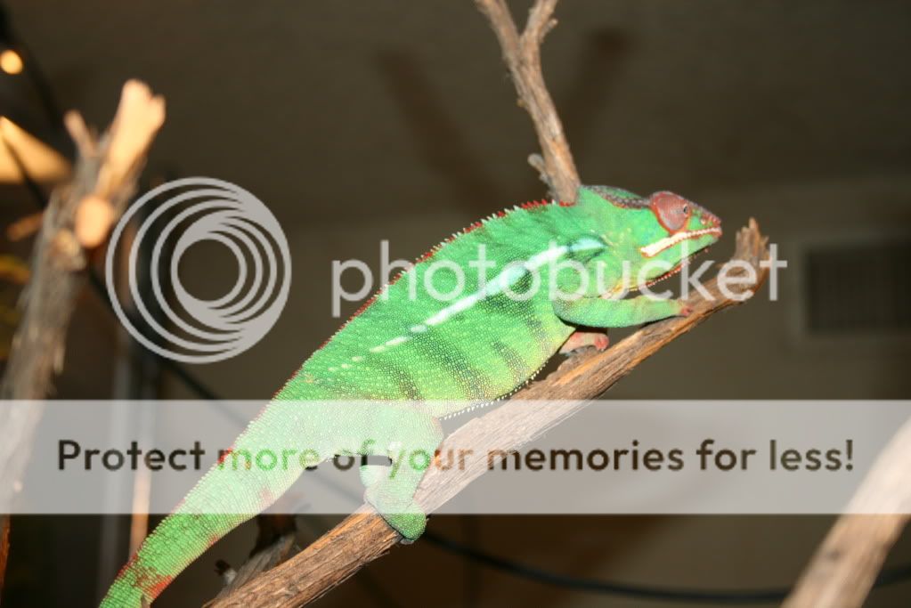 picsfromtoday016.jpg
