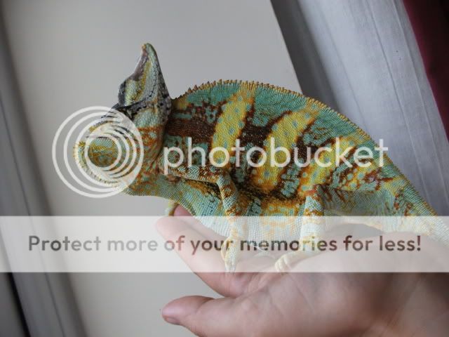 DSCF2323.jpg