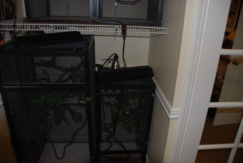 20070801005.jpg