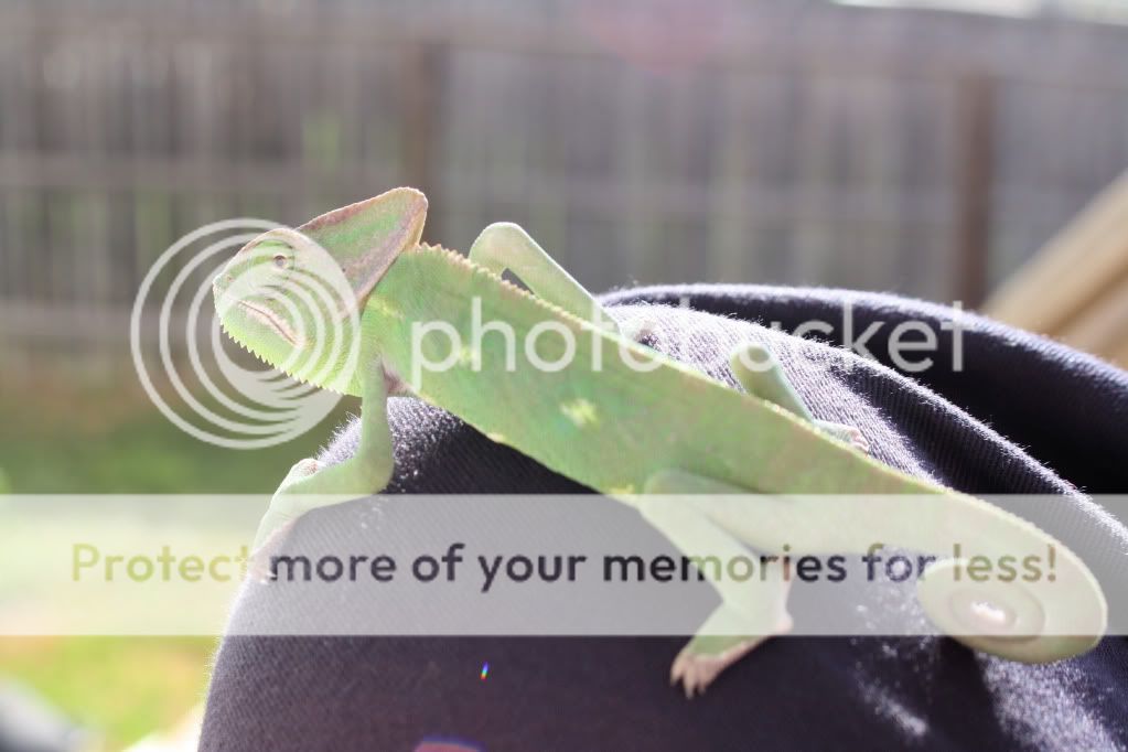 20110717_141.jpg
