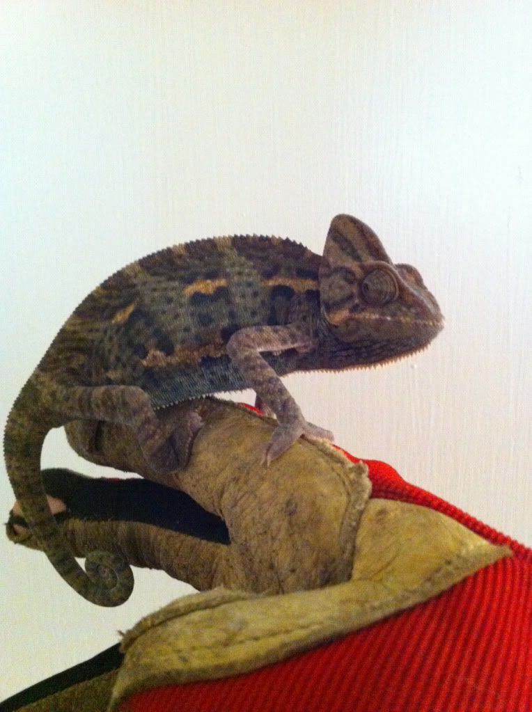 2012-10-08144158.jpg
