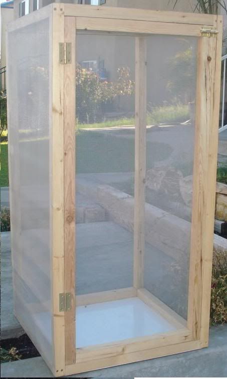 cage1.jpg