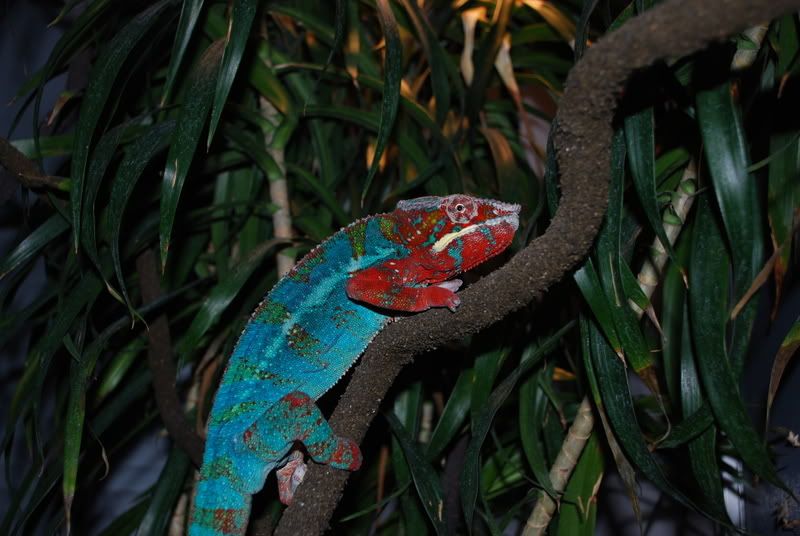 DSC_0033.jpg