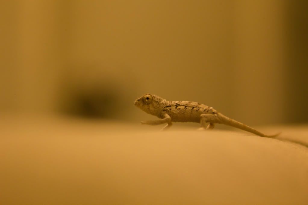 _MG_4798.jpg