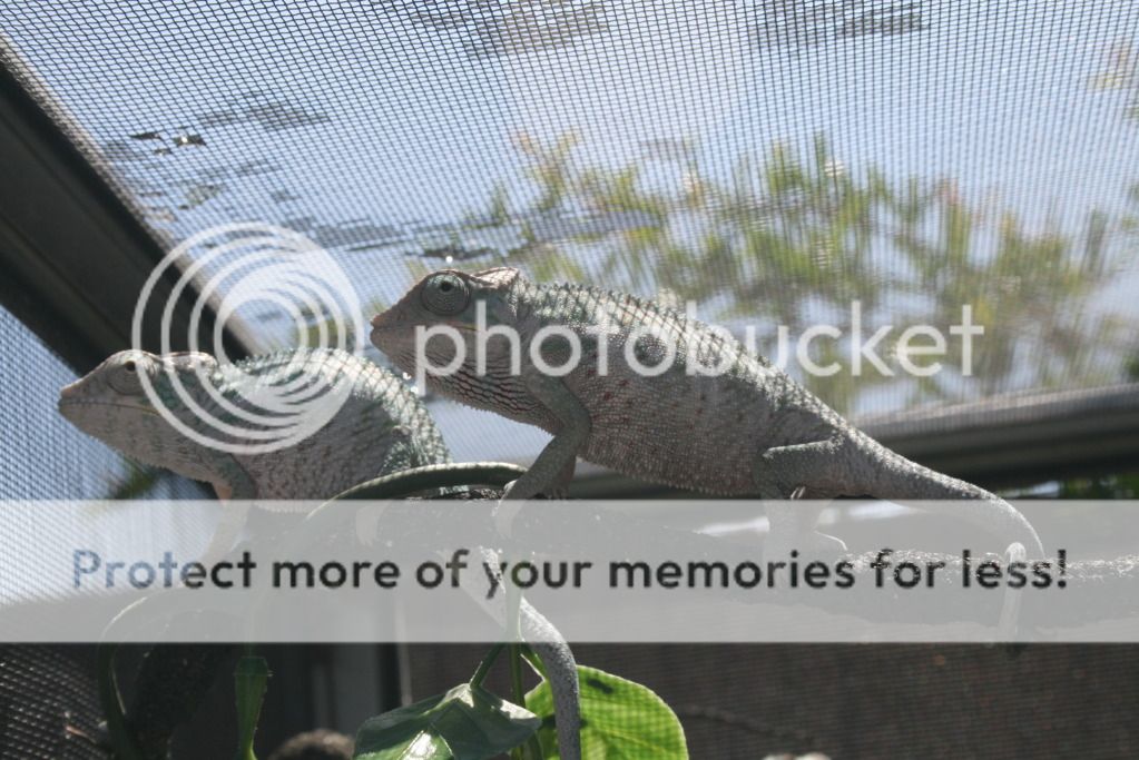 somepics013-1.jpg
