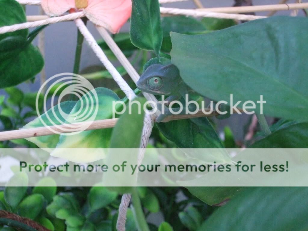 9-12-2010007.jpg