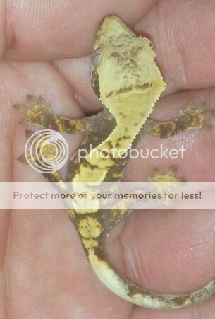 2012-09-20161315_zps931aa07f.jpg