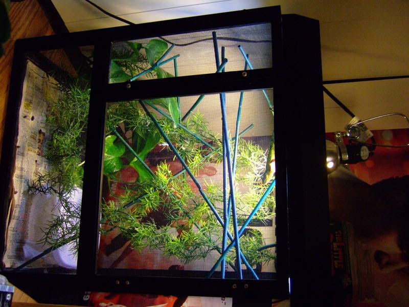 DSCF1229.jpg