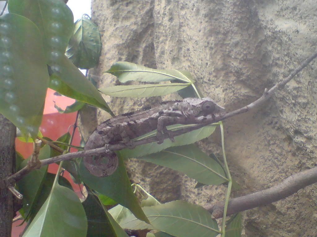 DSC01490.jpg
