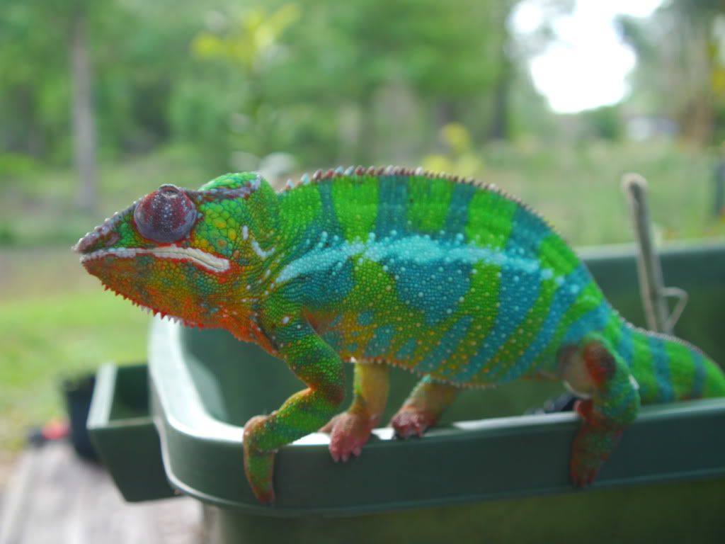 _1070032.jpg