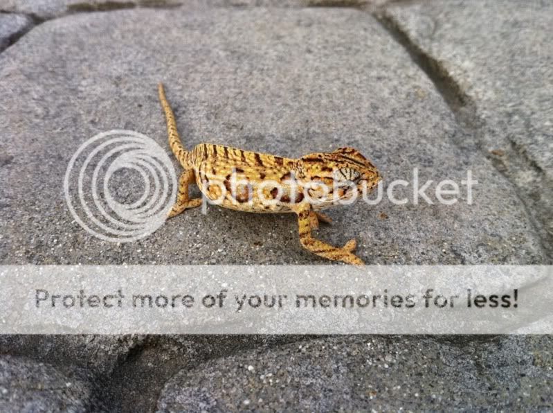 c242c2a5.jpg