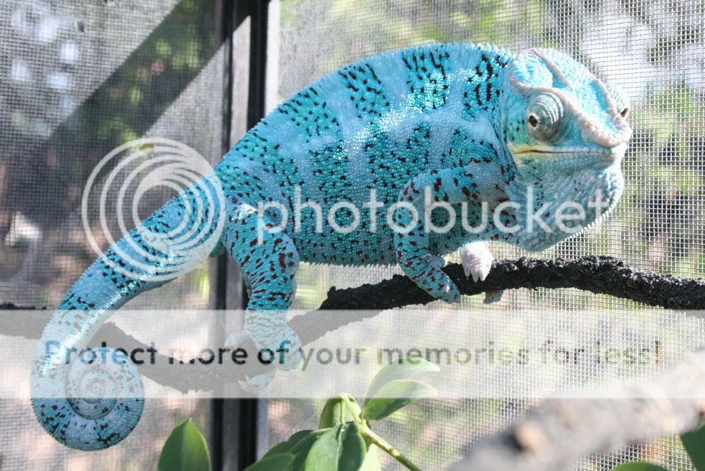 wedpics014.jpg