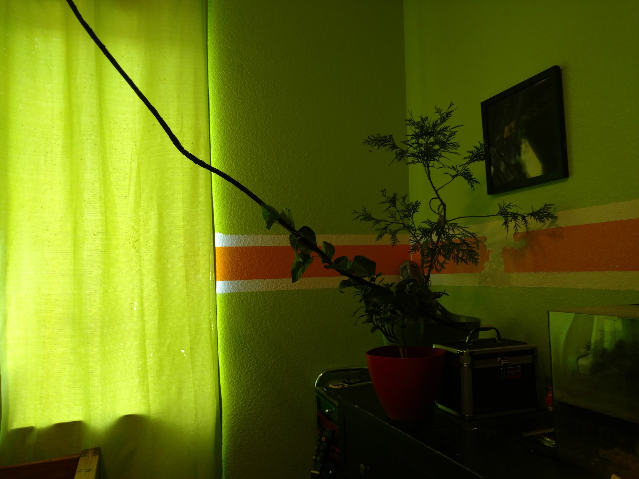 CcVoixuUEAEPc5_.jpg:large