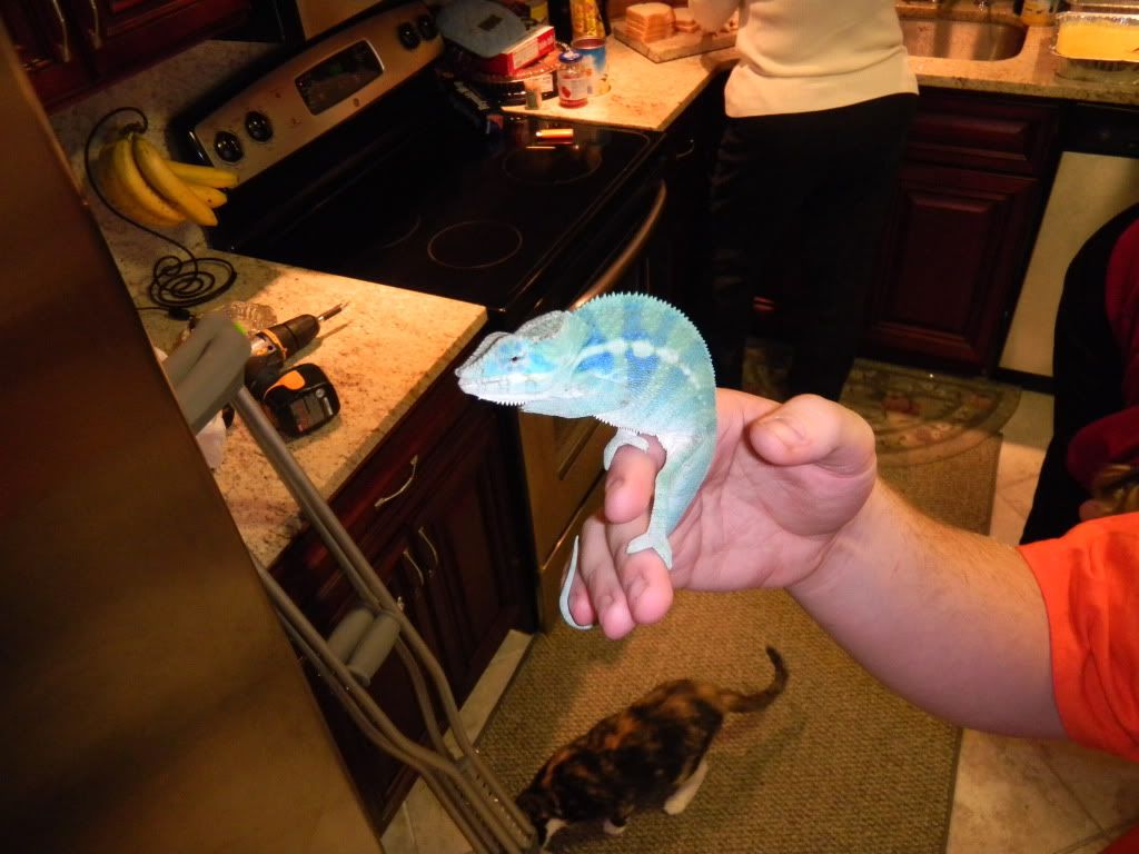 DSCN0153.jpg