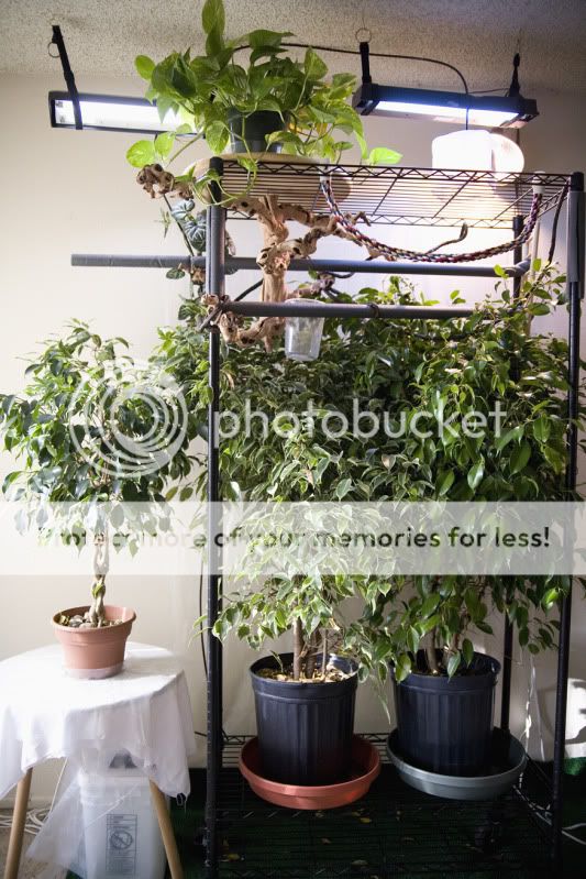 05272011_freerange.jpg