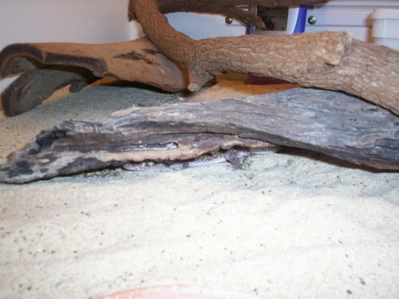 testbatch043.jpg