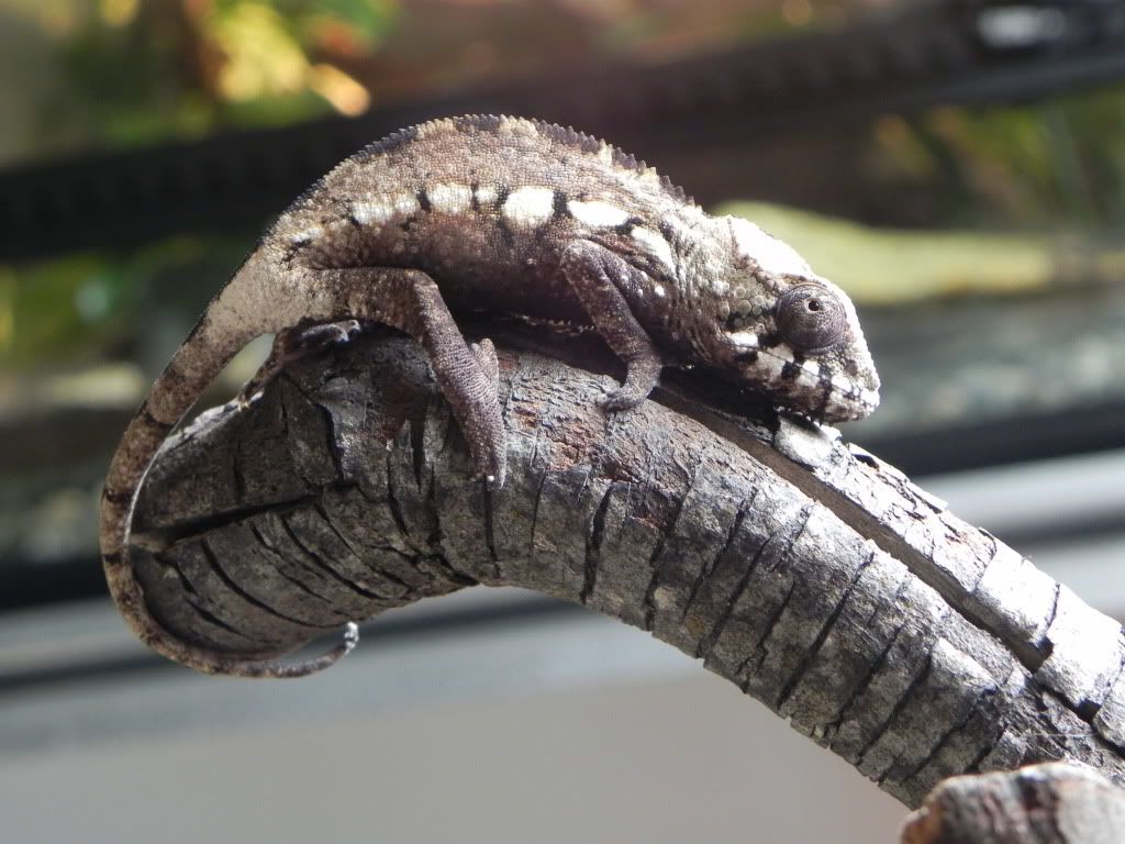 DSCN3359.jpg